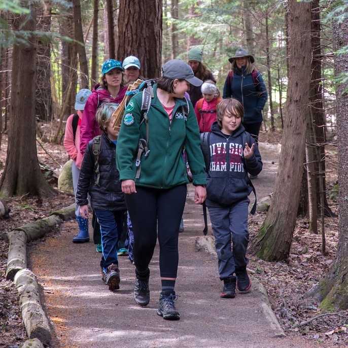 group of people walking along a trail in the woods