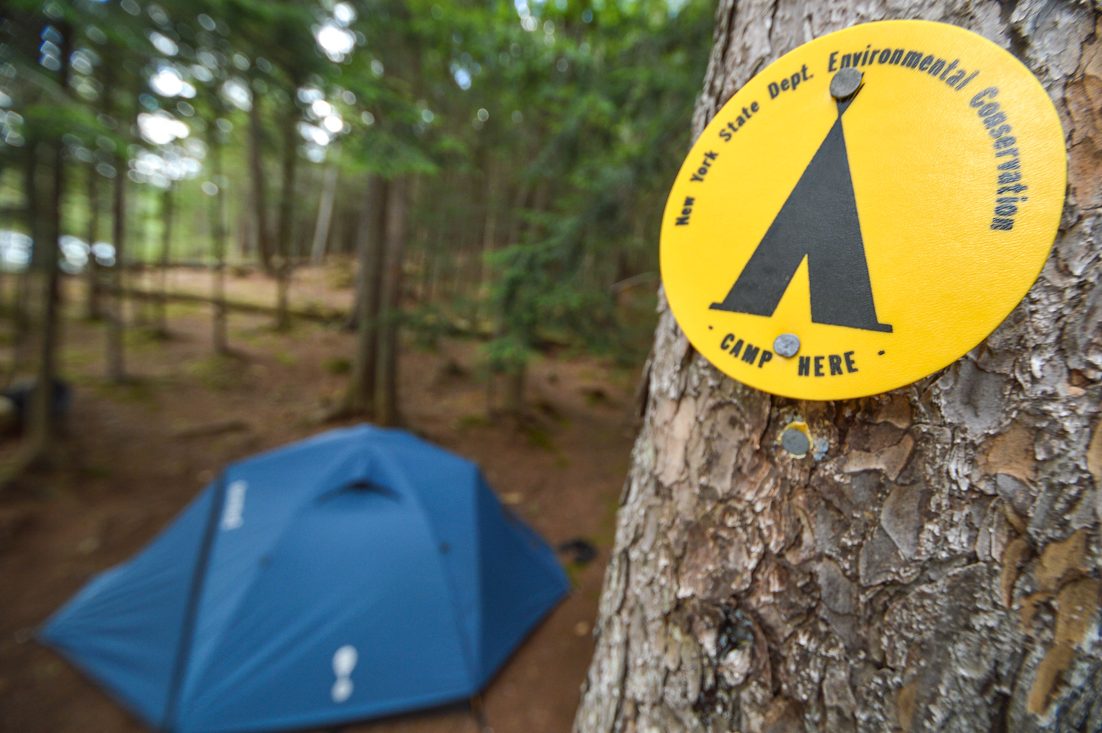 a yellow campsite marker on a tree with a blue tent in the background