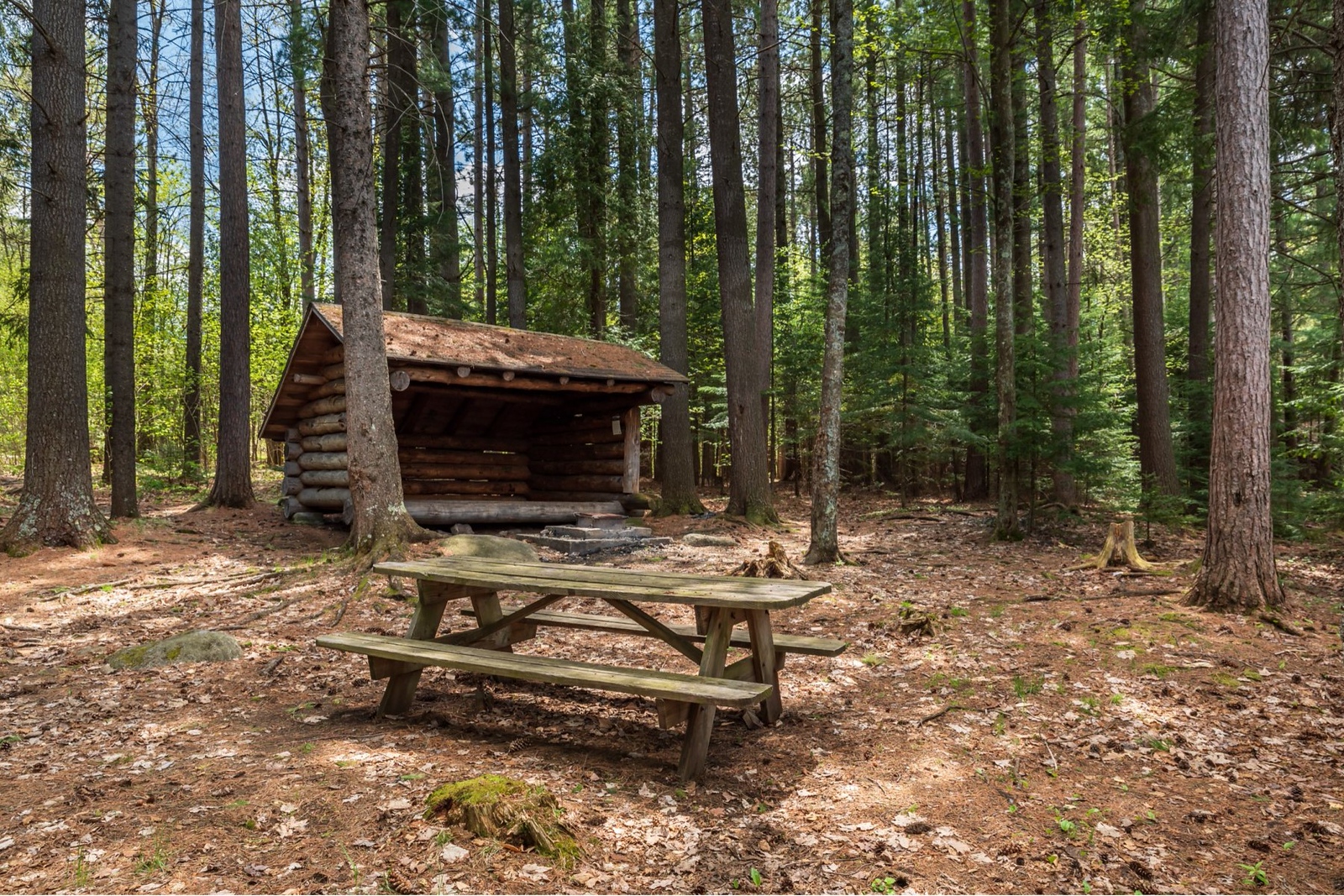 a campground in the woods featuring a fire ring, picnic table, and lean-to